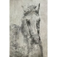 מרמונט היל לבן אפור סוס על ידי אירנה אורלוב ציור הדפסה על עטוף בד