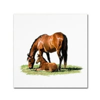אמנות סימן מסחרי 'סוס עם סייח' אמנות בד על ידי סטודיו מקניל