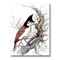 ציפור יפהפייה עתיקה על ענף ציור הדפס אמנות בד