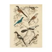 אמנות סימן מסחרי 'Avian Habitat V' אמנות קנבס מאת מילן